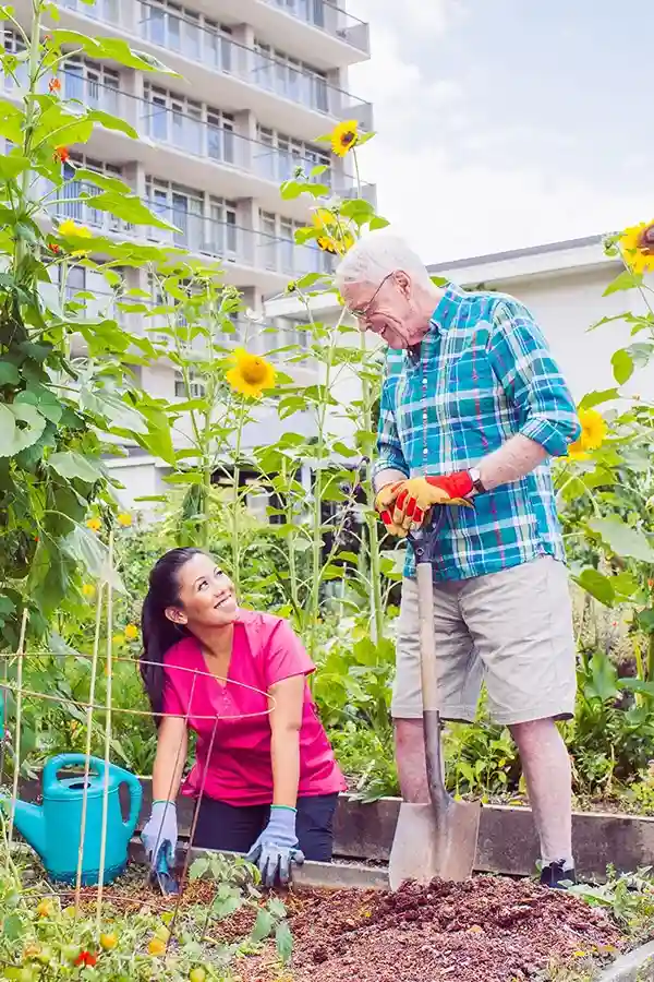 Companionship And Personal Care